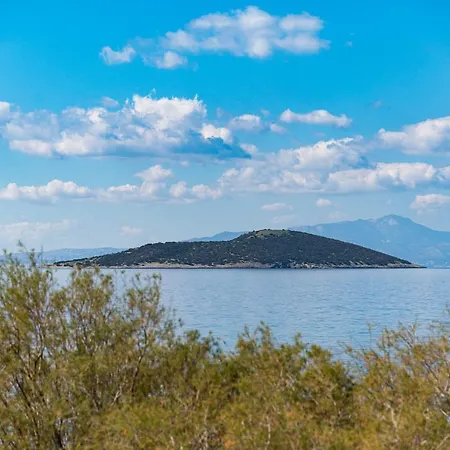 ο μόλος Lejlighed *