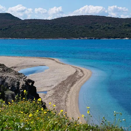 ο μόλος *